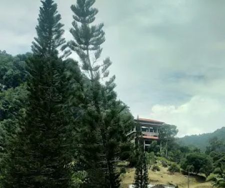 Cameronian Hills Homes