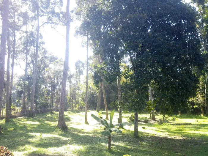 Dusun 4710 Kg. Rebai Picture 7