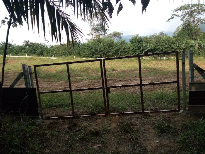 Dusun 4710 Kg. Rebai Picture 6
