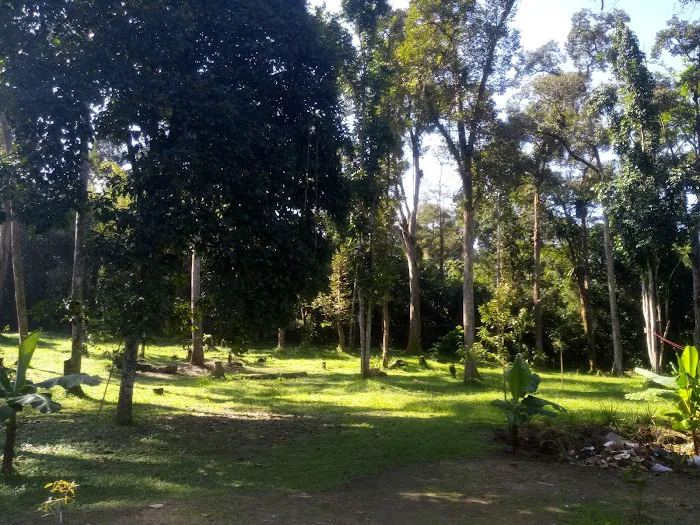 Dusun 4710 Kg. Rebai Picture 9