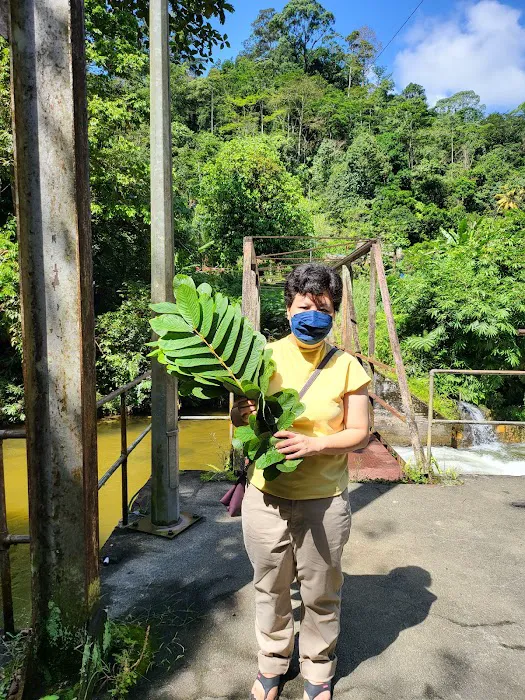 Pos Kuala Woh Picture 5