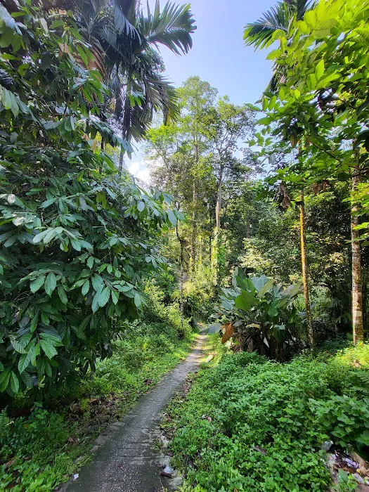 Pos Kuala Woh Picture 9