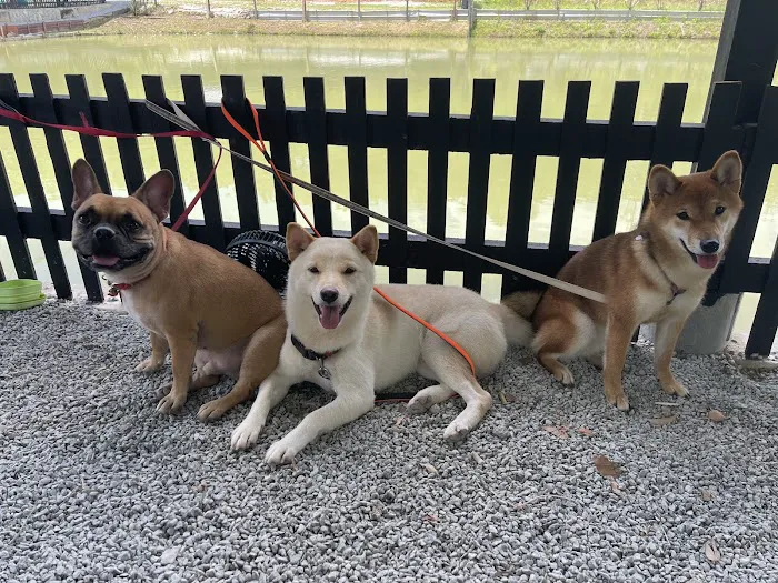 SHIBA CAMPSITE Picture 1