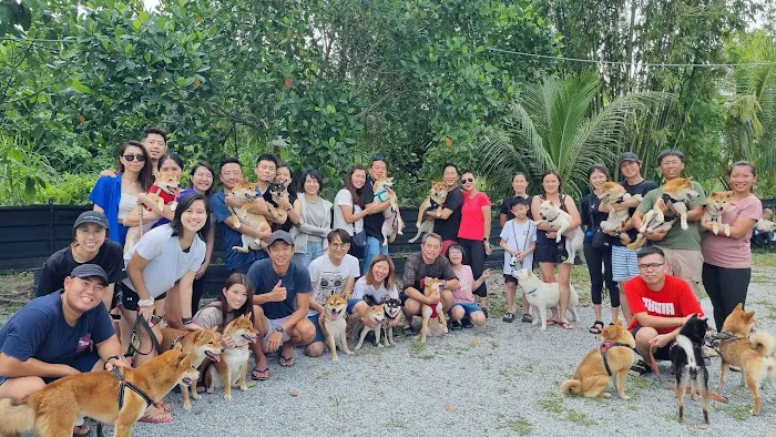 SHIBA CAMPSITE Picture 10