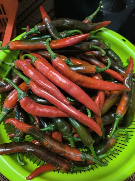 Maklong rusnah Picture 3