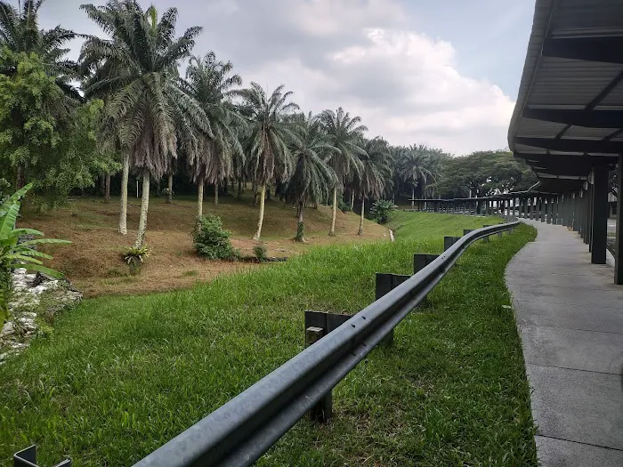 Rawa Hall Picture 8