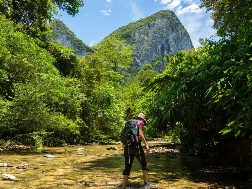 Discover Stunning Nature Hikes in Malaysian National Parks for Every Adventurer