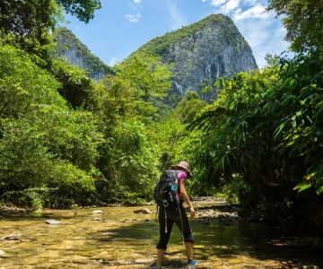Discover Stunning Nature Hikes in Malaysian National Parks for Every Adventurer
