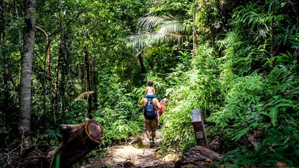 Adventure Hiking in Penang National Park: Explore Malaysia’s Hidden Jungle Trails