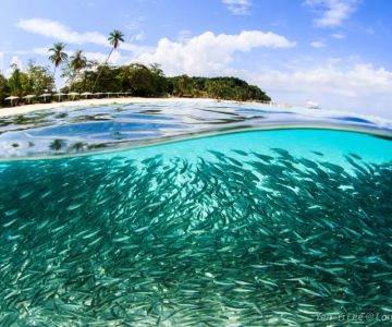 Discover Scenic Islands with Coral Reefs in Malaysia for Unforgettable Marine Adventures