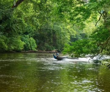 Explore Malaysia’s Best Nature Parks for Birdwatching Tours