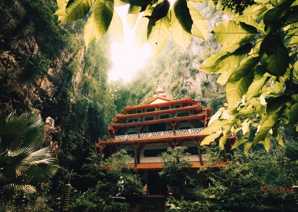Experience Authentic Nature Lodges with Jungle Treks in Malaysia
