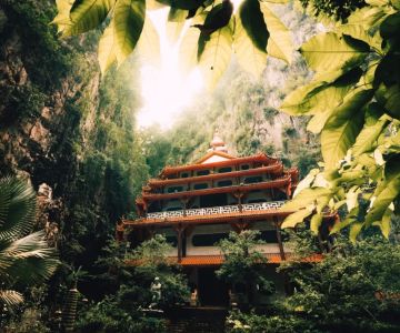Experience Authentic Nature Lodges with Jungle Treks in Malaysia