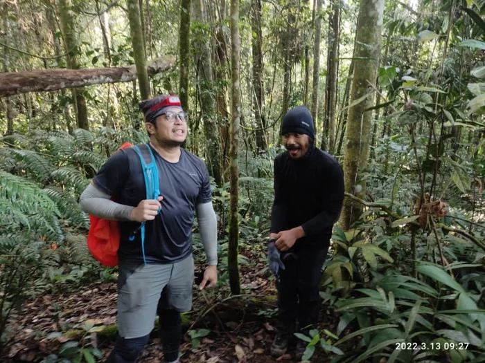 Discover the Best Nature Parks with Wildlife in Malaysia for an Unforgettable Eco-Adventure