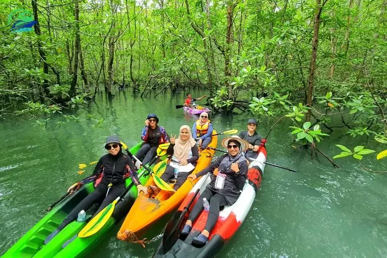 Discover Thrilling Adventure Kayaking Tours in Malaysian Rivers with Expert Guidance