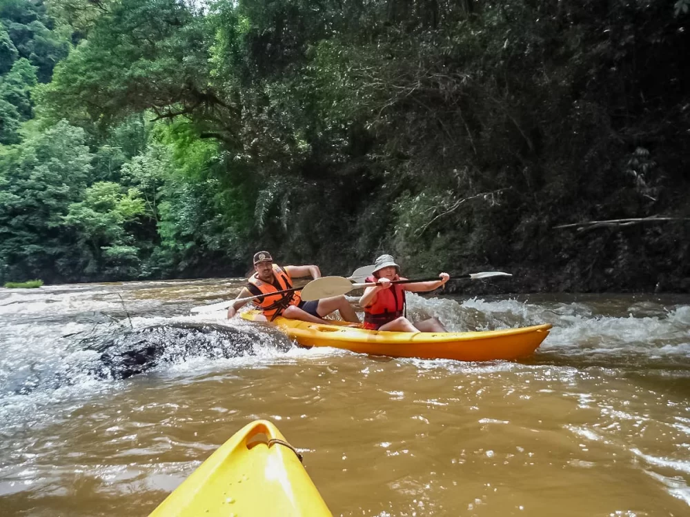 Explore Thrilling Adventure Kayaking Tours in Malaysian Rivers for Unforgettable Experiences