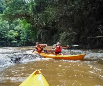 Explore Thrilling Adventure Kayaking Tours in Malaysian Rivers for Unforgettable Experiences