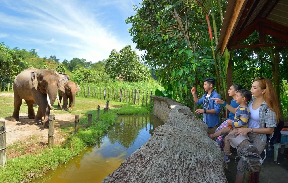 Nature Parks with Wildlife Safaris in Malaysia: Explore the Wild Beauty
