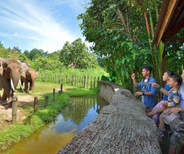 Nature Parks with Wildlife Safaris in Malaysia: Explore the Wild Beauty