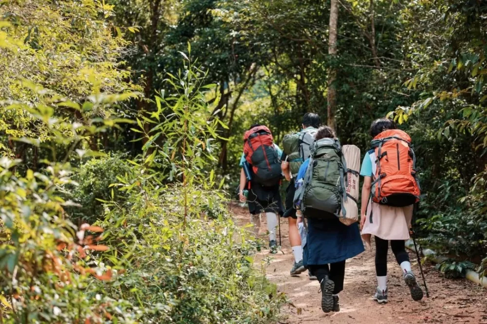 Exploring the Best Nature Trails in Bukit Fraser for an Unforgettable Outdoor Adventure