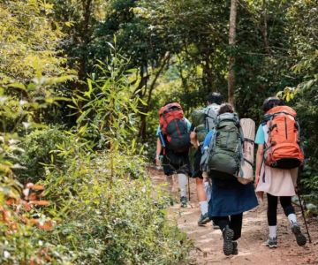 Exploring the Best Nature Trails in Bukit Fraser for an Unforgettable Outdoor Adventure