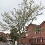 Hao Residence