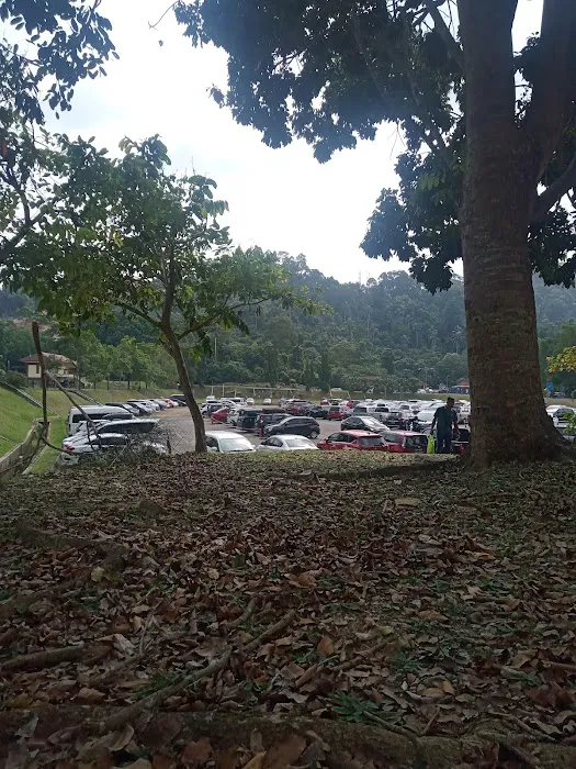 KAMSIS IBNU SINA (POLISAS)-CA Picture 2