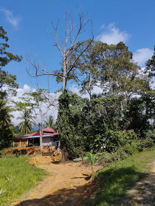Ra Eco Resort Picture 1