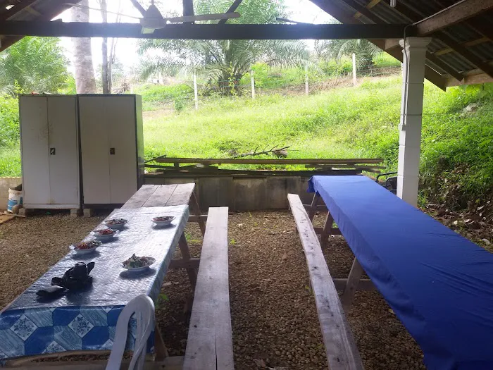 Ra Eco Resort Picture 6