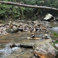 Impianaz Roomstay/Rumah Sewa/Homestay Budget Merapoh ico