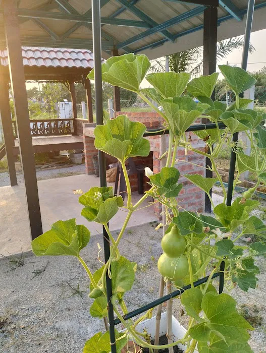 annisatinyhomestay Picture 6