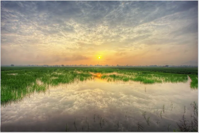 Inapan Tepi Sawah Picture 7