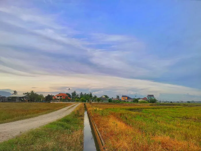 Inapan Tepi Sawah Picture 6