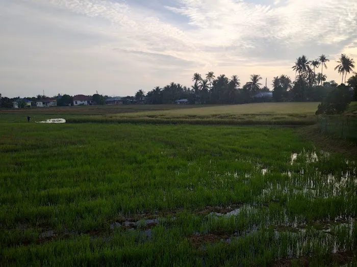 Inapan Tepi Sawah Picture 9