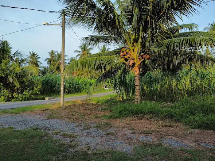 kemboja Homestay Picture 3