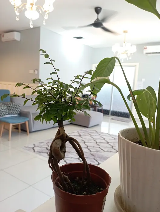 Homestay An-Nur Picture 9