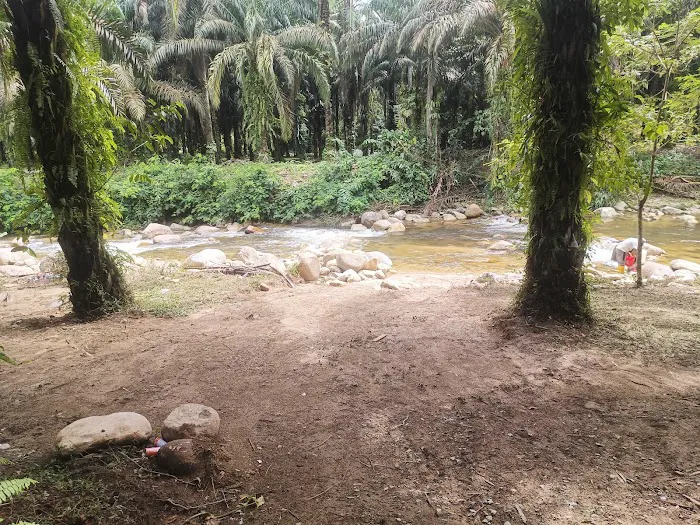 White Stone Campgrounds Picture 7