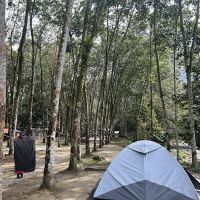 Chor river campsite ico