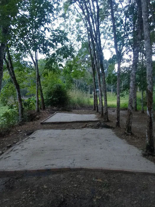 Chor river campsite Picture 7