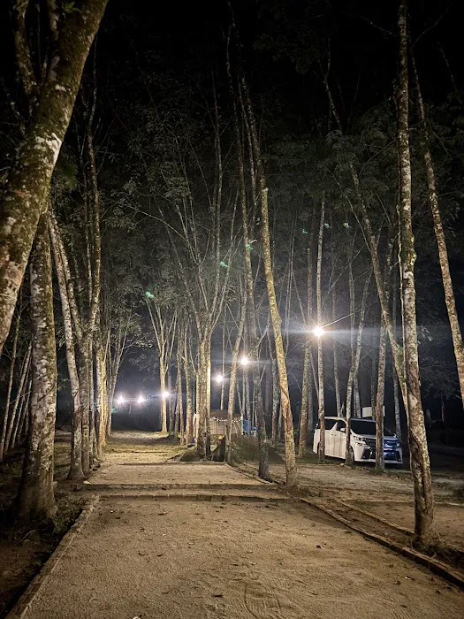 Chor river campsite Picture 8