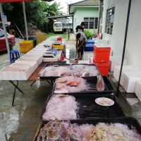 Ikan segar mat Black ico