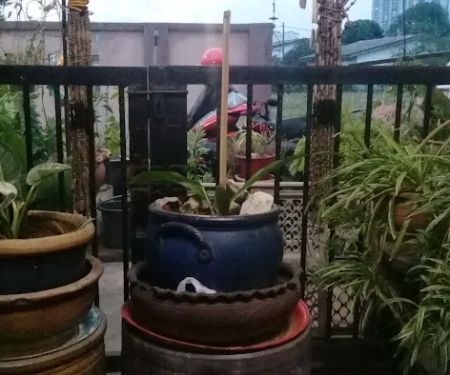 Mama Garden