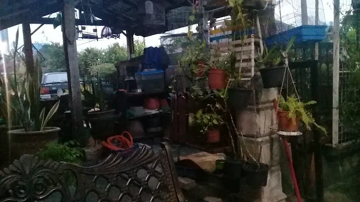 Mama Garden Picture 2