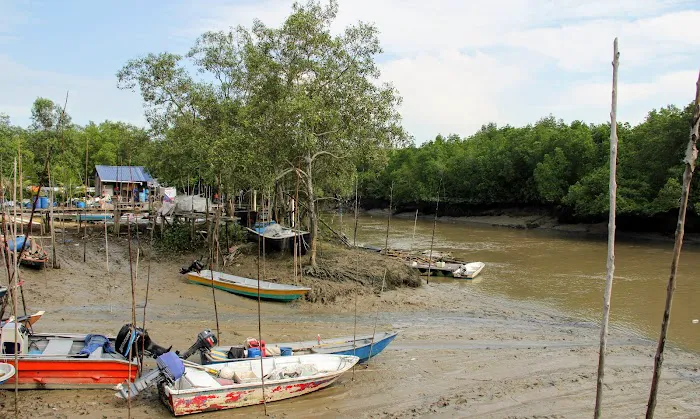 Kampung Orang Asli Pulau Indah Picture 1