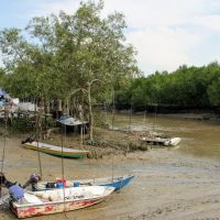 Kampung Orang Asli Pulau Indah ico