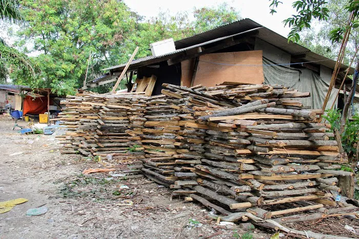 Kampung Orang Asli Pulau Indah Picture 6