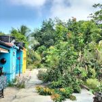 Homestay Temerloh | TERATAK RIMBA INAP DESA