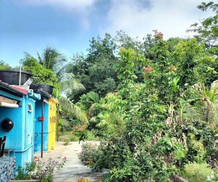 Homestay Temerloh | TERATAK RIMBA INAP DESA