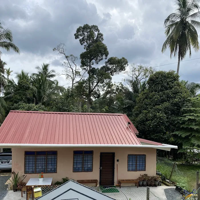 Homestay Syed Picture 5