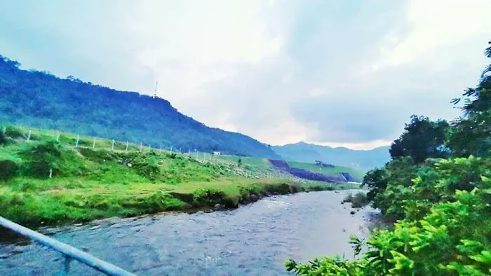 MS HOMESTAY JELI Picture 4